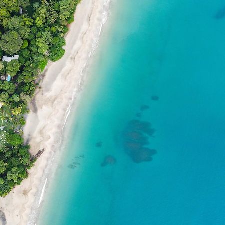 Le Cameleon Boutique Hotel Puerto Viejo de Talamanca ภายนอก รูปภาพ