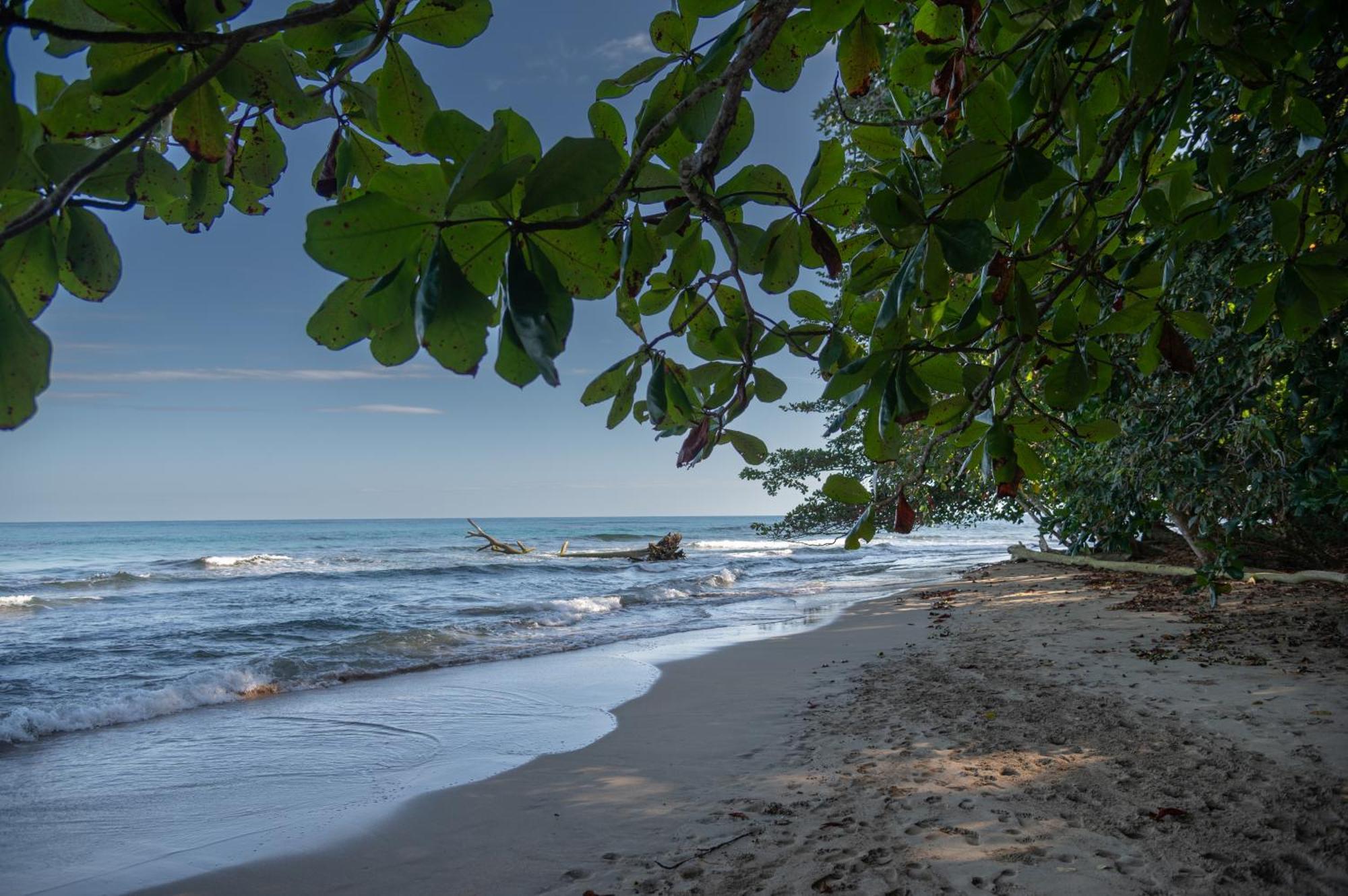 Le Cameleon Boutique Hotel Puerto Viejo de Talamanca ภายนอก รูปภาพ