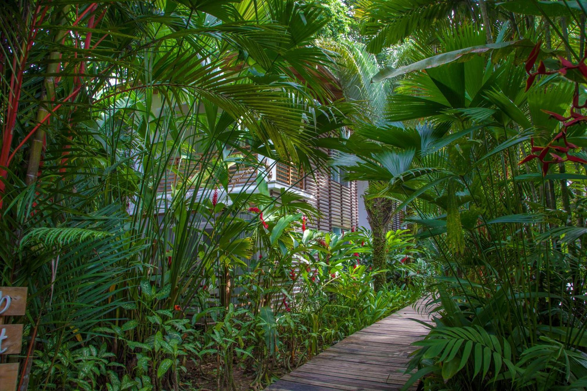 Le Cameleon Boutique Hotel Puerto Viejo de Talamanca ภายนอก รูปภาพ