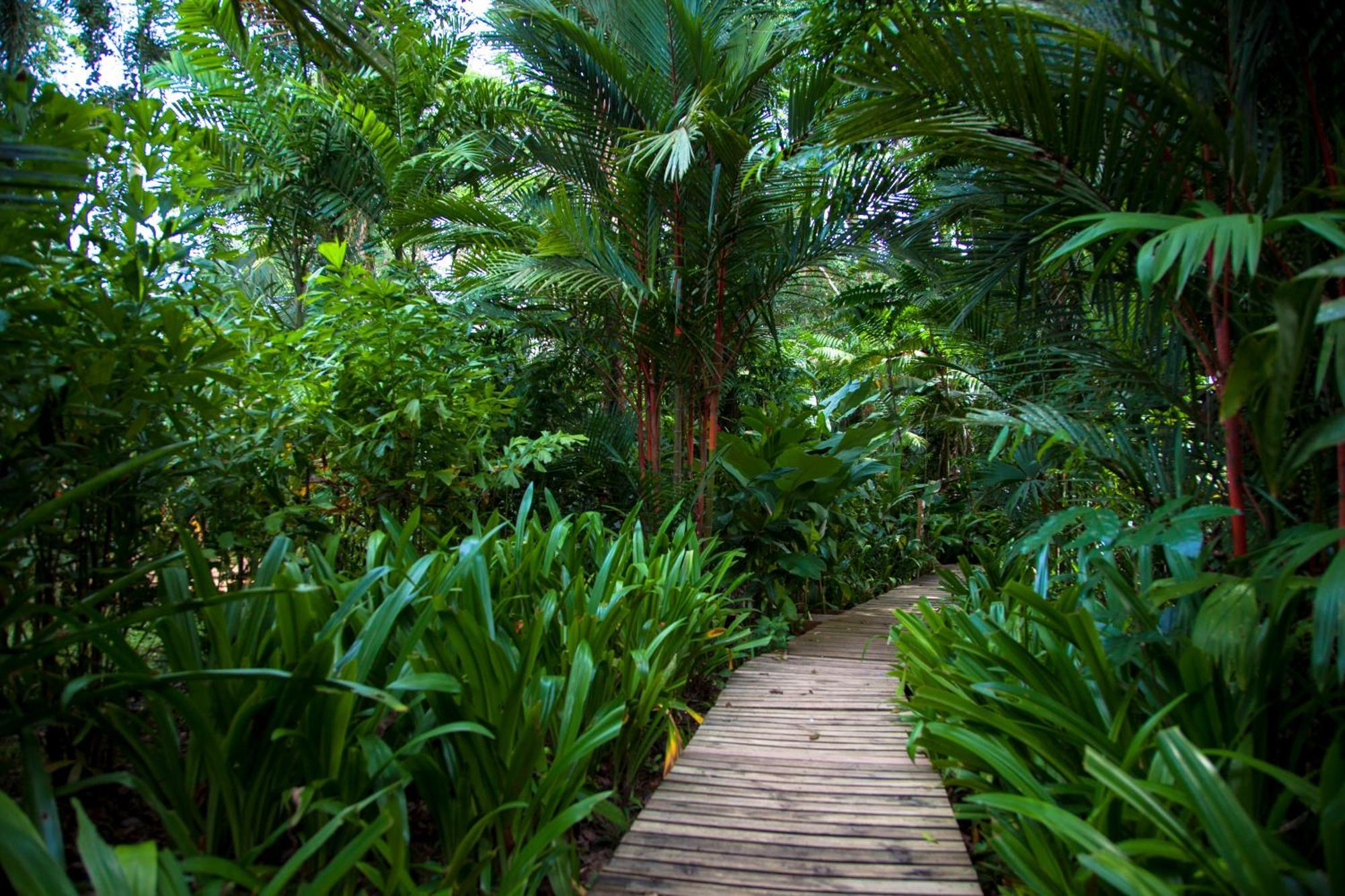 Le Cameleon Boutique Hotel Puerto Viejo de Talamanca ภายนอก รูปภาพ