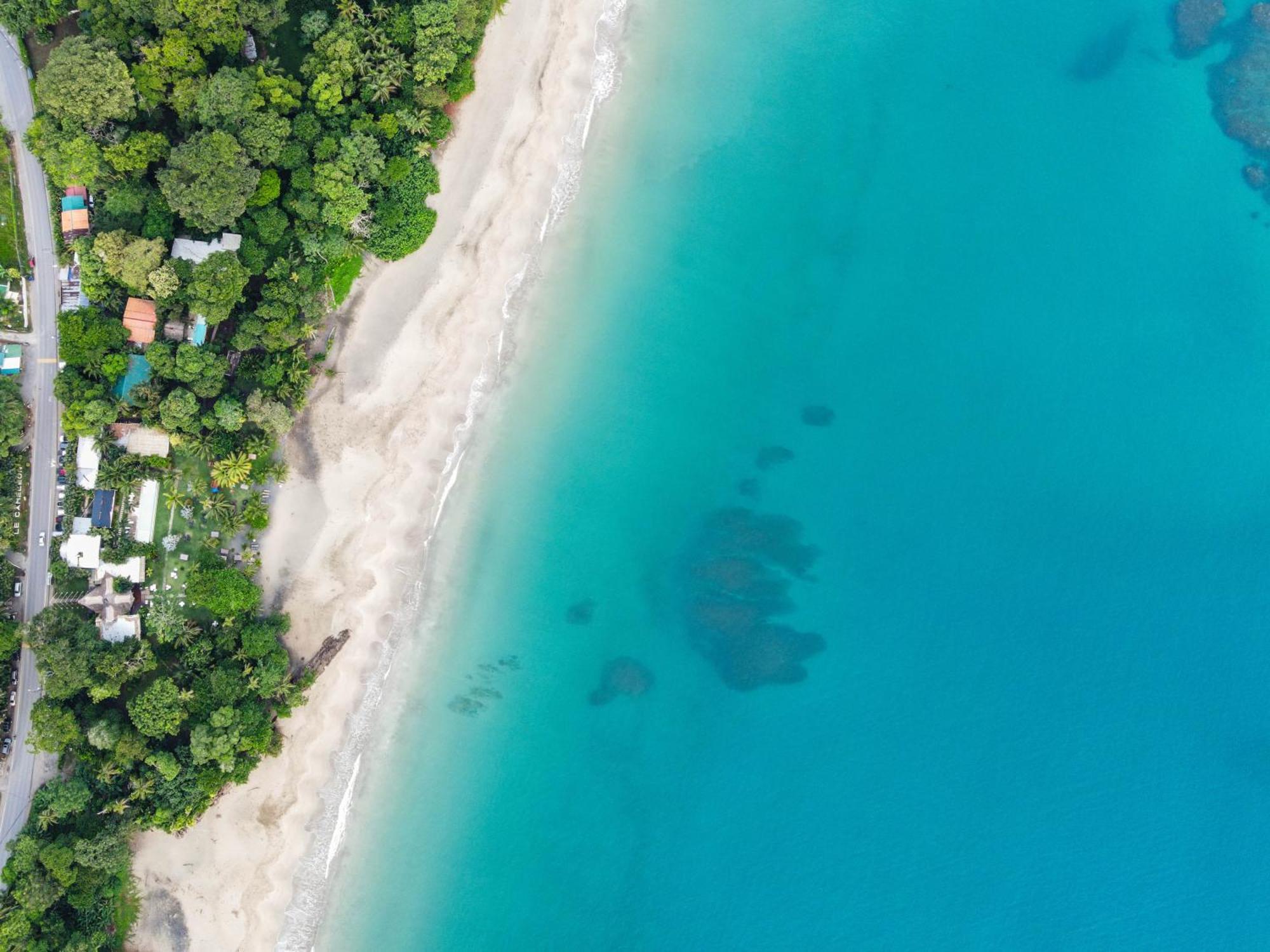 Le Cameleon Boutique Hotel Puerto Viejo de Talamanca ภายนอก รูปภาพ