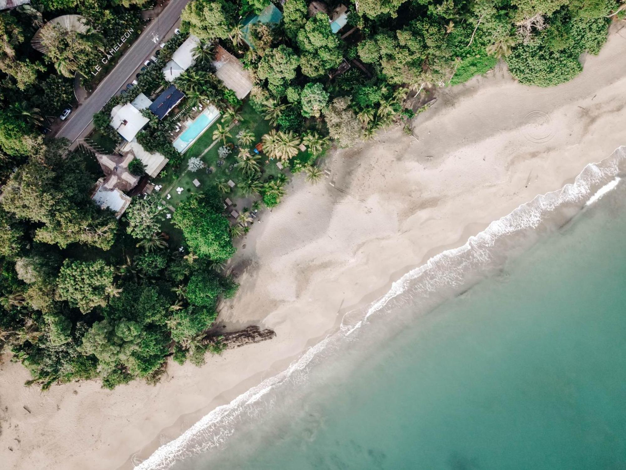 Le Cameleon Boutique Hotel Puerto Viejo de Talamanca ภายนอก รูปภาพ