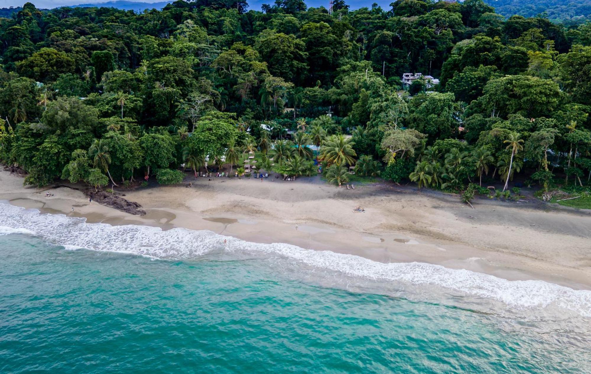 Le Cameleon Boutique Hotel Puerto Viejo de Talamanca ภายนอก รูปภาพ