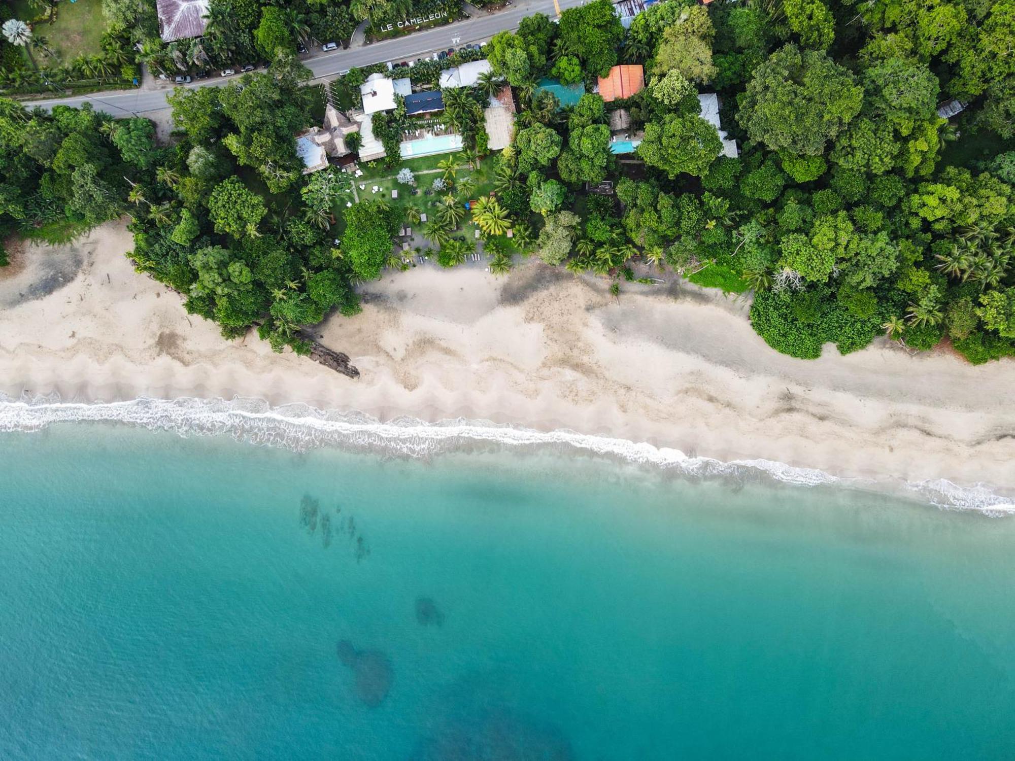 Le Cameleon Boutique Hotel Puerto Viejo de Talamanca ภายนอก รูปภาพ